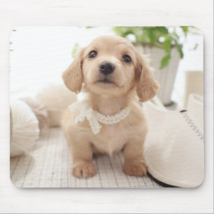 Mousepad Dachshund diminuto