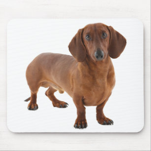 Mousepad Dachshund Gift Gift Dachshund Cão-de-Cão-Cãozin