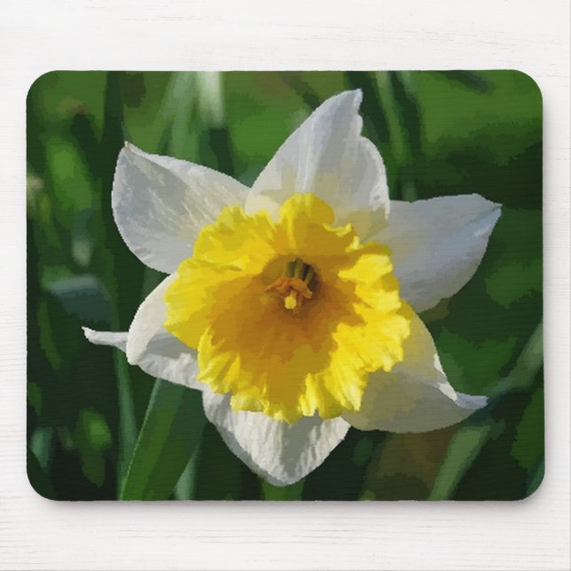 Mousepad Daffodil gigante (Frente)