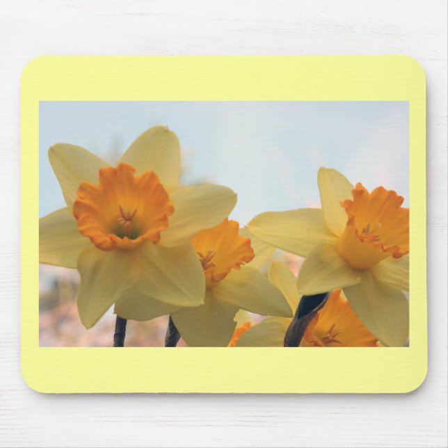 Mousepad Daffodills (Frente)