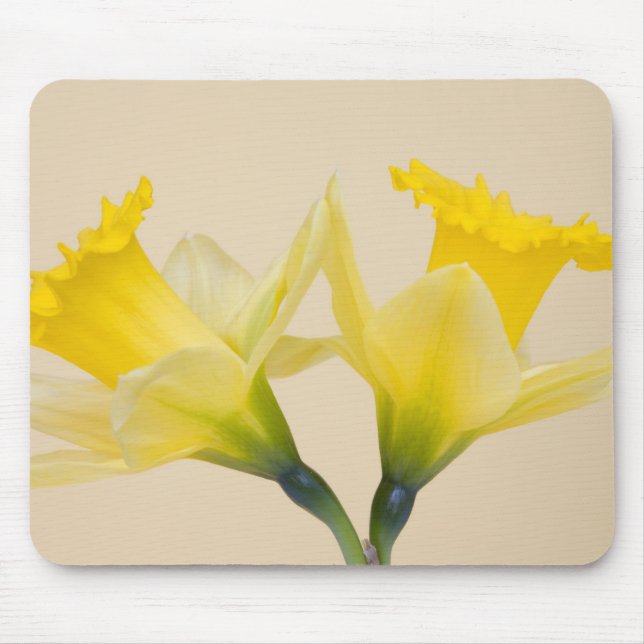 Mousepad Daffodilos amarelos (Frente)