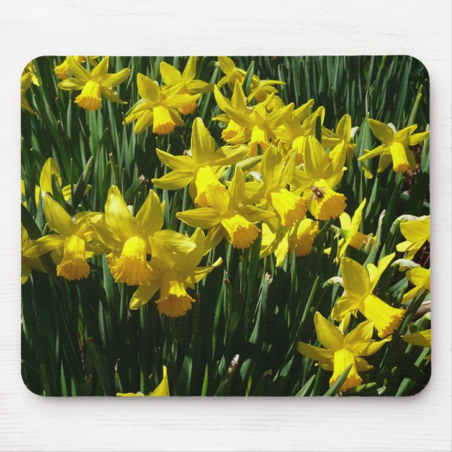 Mousepad Daffodils Amarelos I Flores De Mola Cheery (Frente)