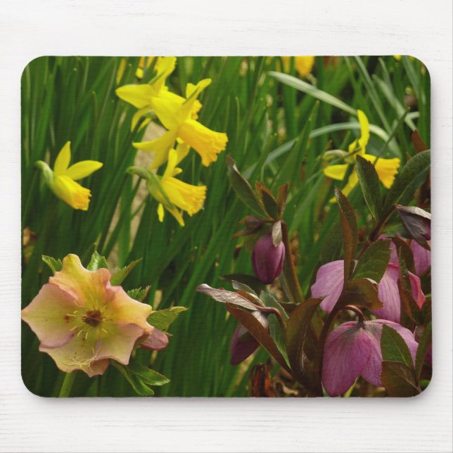 Mousepad Daffodils e Rosas de Lenten (Frente)