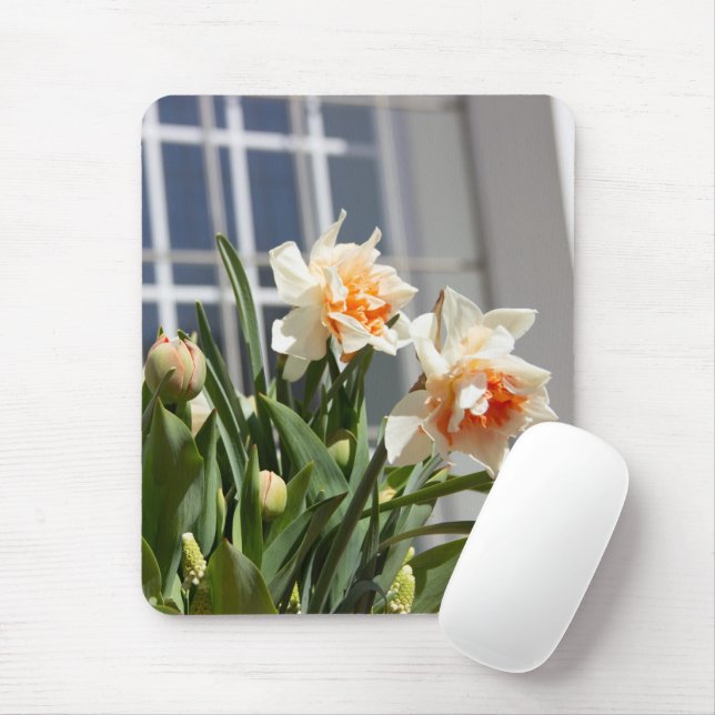 Mousepad Daffodils fodils fodils primavera (Com mouse)