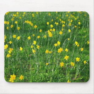 Mousepad Daffodils/narciso