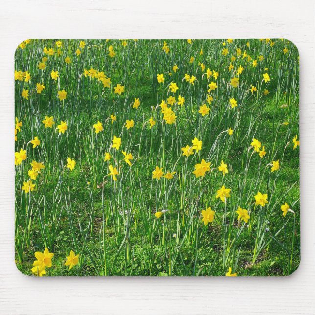 Mousepad Daffodils/Narciso (Frente)