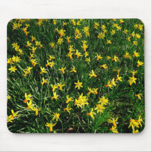Mousepad Daffodils/narciso