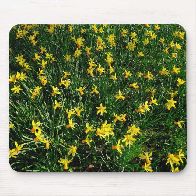 Mousepad Daffodils/Narciso (Frente)