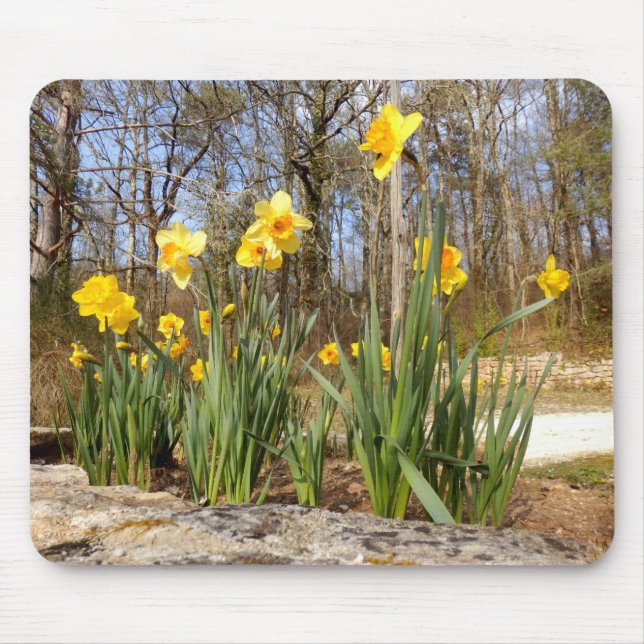 Mousepad Daffodils no rato de Páscoa (Frente)