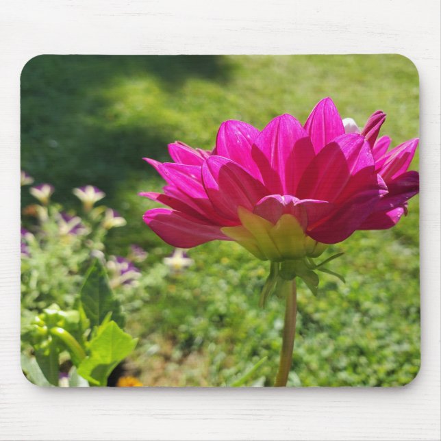 Mousepad Dahila Rosa (Frente)