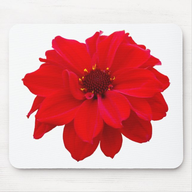 Mousepad Dahlia - Bispo de Llandaff (Frente)