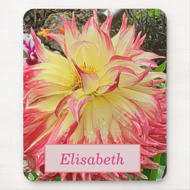 Mousepad Dahlia Rosa e Amarelo (Frente)