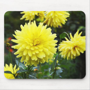 Mousepad Dahlias floral amarelo