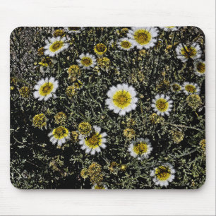 MOUSEPAD DAISES BRANCOS, CENTRO AMARELO/EFEITOS DIGITAIS/FO