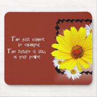 Daisies e Ladybugs