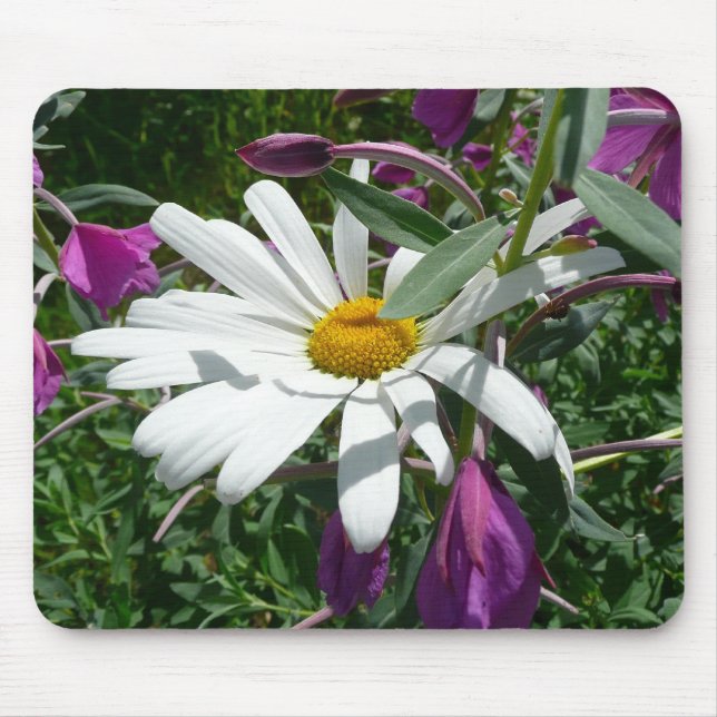 Mousepad Daisy e Fireweed (Frente)