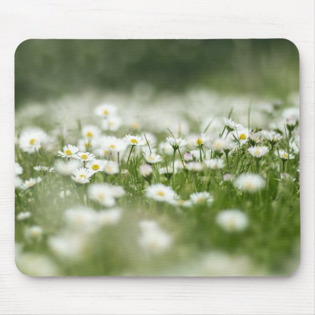 Mousepad Daisy Meadow (Frente)