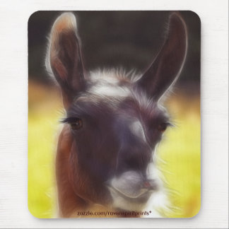 Mousepad Dalai, o Bocalhão de Animais do Diário LLAMA
