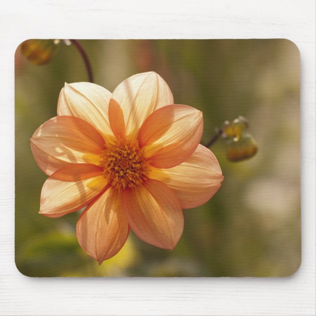 Mousepad Dália (Frente)