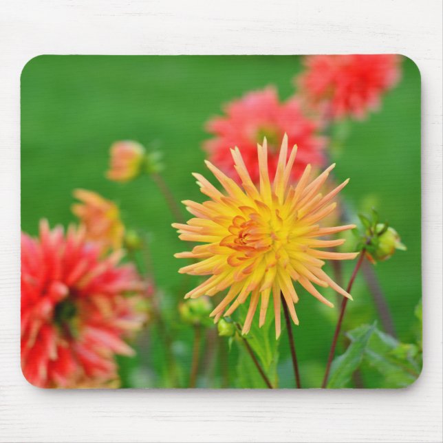 Mousepad Dália (Frente)