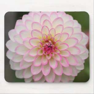 Mousepad Dália branca com flor de jante rosa