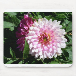 Mousepad Dália cor-de-rosa de Colorado