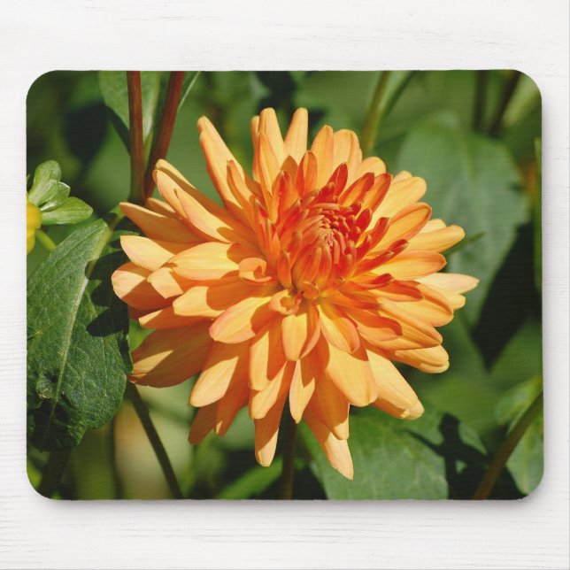 Mousepad Dália laranja com botão e folhas (Frente)