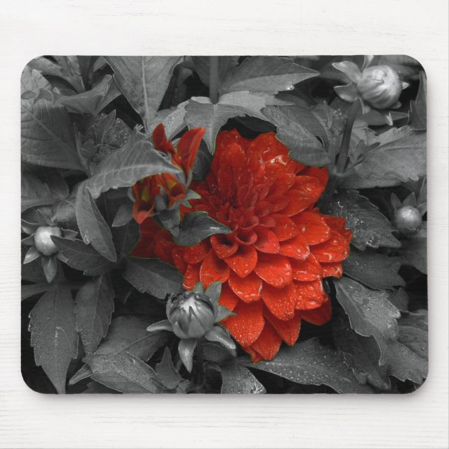 Mousepad Dália-mousepad (Frente)