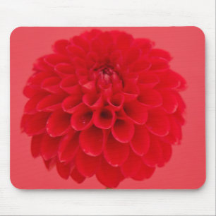 Mousepad dália vermelha