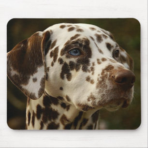 Mousepad Dalmácia castanho rara Dalmação hepática
