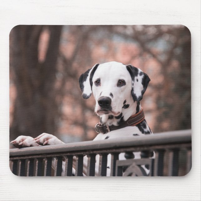 Mousepad Dalmaciano, cachorrinho, animal doméstico (Frente)