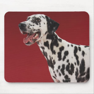 Mousepad Dalmatian