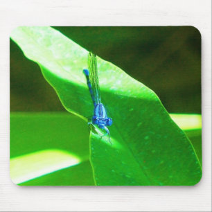 Mousepad Damselfly