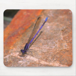 Mousepad Damselfly Dragonfly Nature
