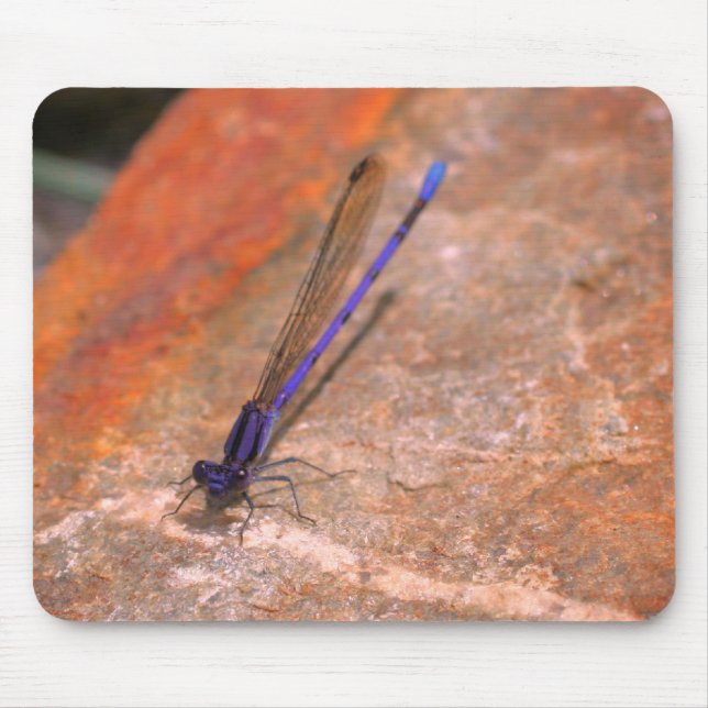 Mousepad Damselfly Dragonfly Nature (Frente)