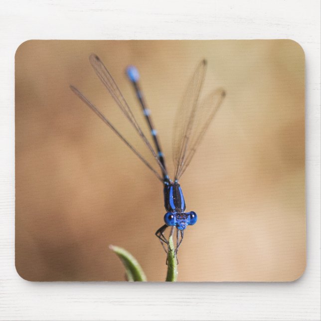 Mousepad Dança do Damselfly (Frente)