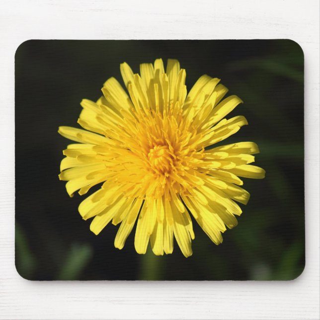 Mousepad Dandelion (Frente)