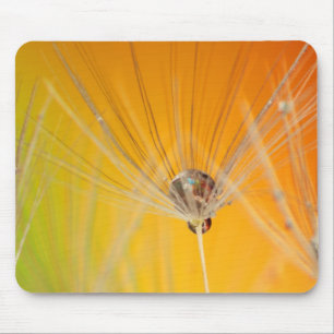 Mousepad Dandelion Blossoms Flores Destino Paz Amor Arte