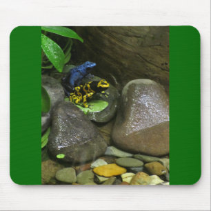 Mousepad Dart Sapo Buddies