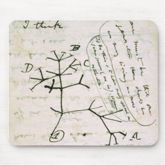 Mousepad darwin