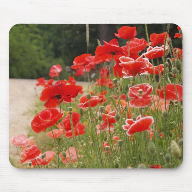 mousepad das papoilas (Frente)