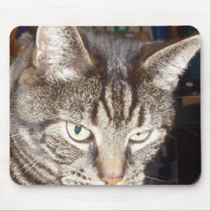 Mousepad Dave está te observando