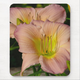 Mousepad Daylillies
