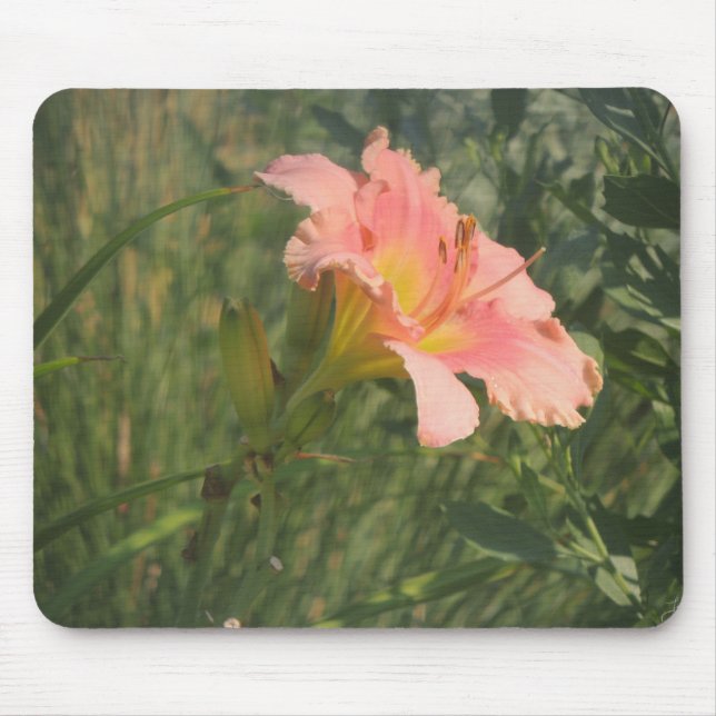Mousepad Daylily no Sol (Frente)