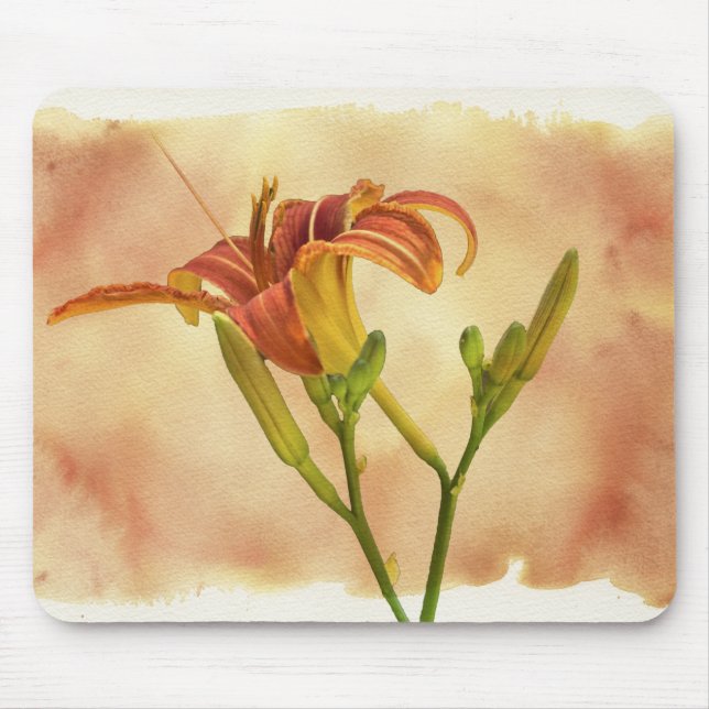 Mousepad Dayllírios - Hemerocallis (Frente)