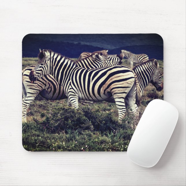 Mousepad Dazzle Da Zebras (Com mouse)