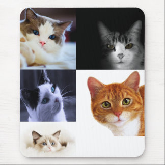 Mousepad de Adolescentes de Cat