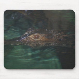Mousepad de Alligador