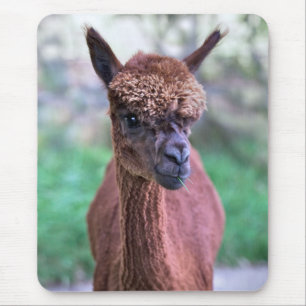 Mousepad de Alpaca Marrom