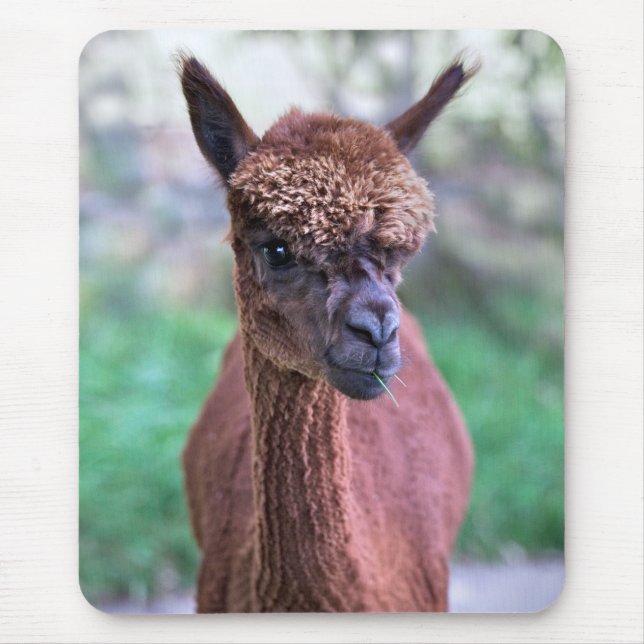 Mousepad de Alpaca Marrom (Frente)